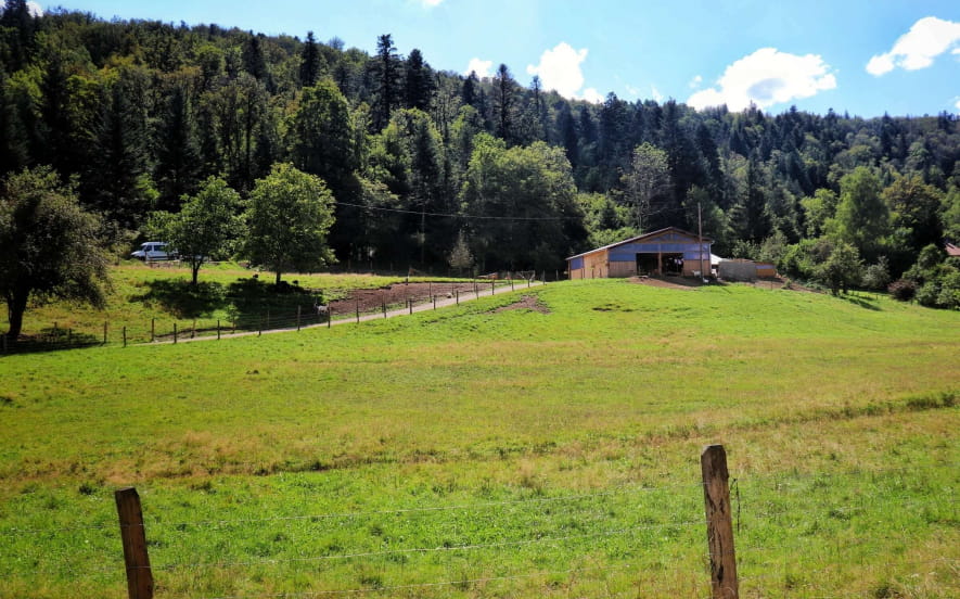 Chèvrerie des bois pâturés