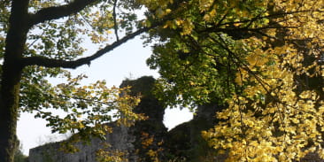 Ruines du château du Schlossberg