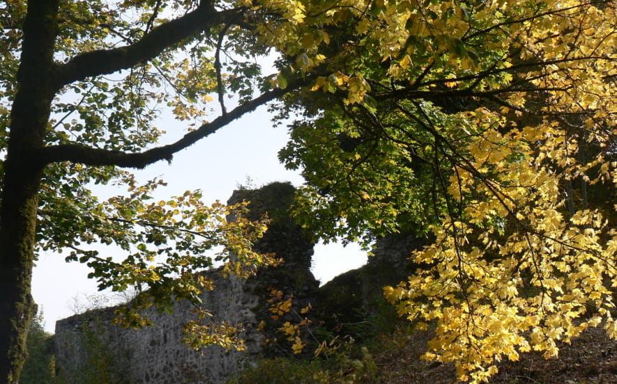 Ruines du château du Schlossberg