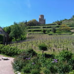 Le château de Kaysersberg