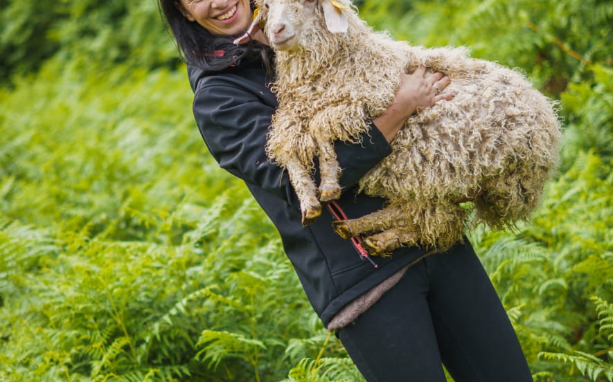 Le Mohair des Petits Sentiers