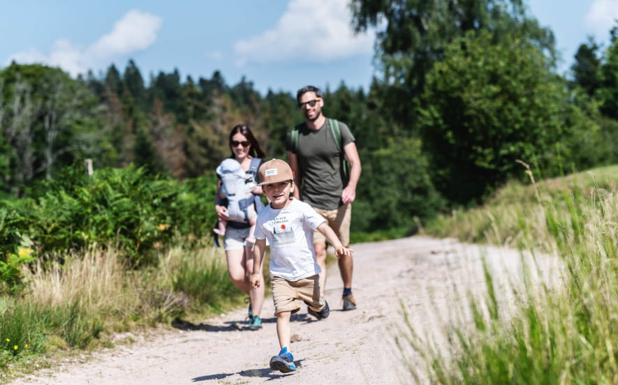 Balade en famille : Circuit découverte de Cosswiller