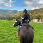 Randonnée guidée à cheval dans les Vosges du Nord