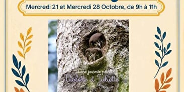 Histoire de nos régions