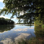 Lac et Fôret des Sept Chevaux