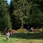Sens à Sons Nature - Learn-o