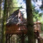 La clairière aux cabanes