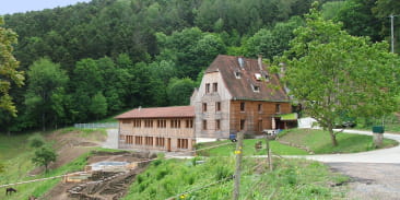 Gîte de la Chouette