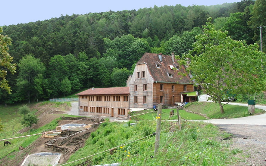 Gîte de la Chouette