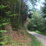 Sentier poussette - Un détour par le Bilstein
