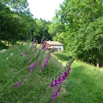 Chalet refuge du Hangochet