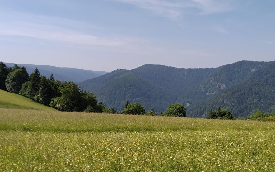 Faing du Souche