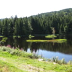 Les tourbières de Lispach et de la Ténine à La Bresse