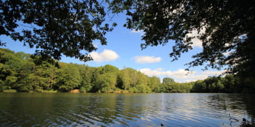 Lac et Fôret des Sept Chevaux