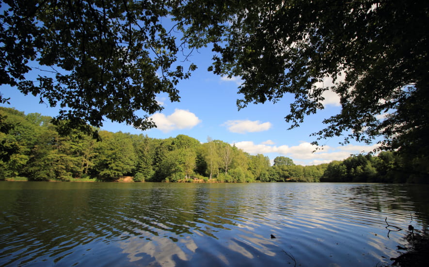 Lac et Fôret des Sept Chevaux