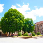 Abbaye de Senones