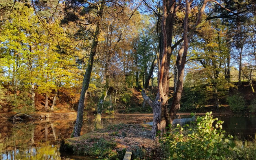 Étang de la Ballastière