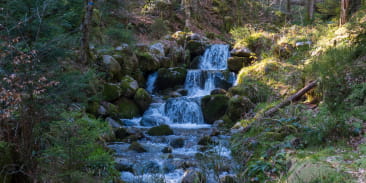 Cascade de Morbieux
