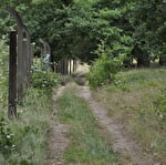 Sentier poussette - Entre Neubois et Dieffenbach-au-Val