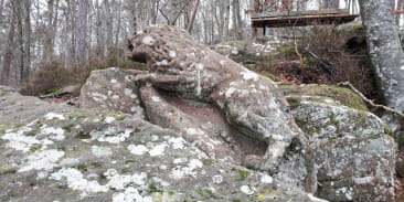 Rocher du Corbeau - Krappenfels