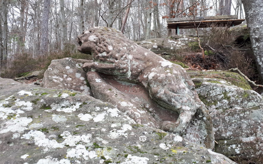 Rocher du Corbeau - Krappenfels