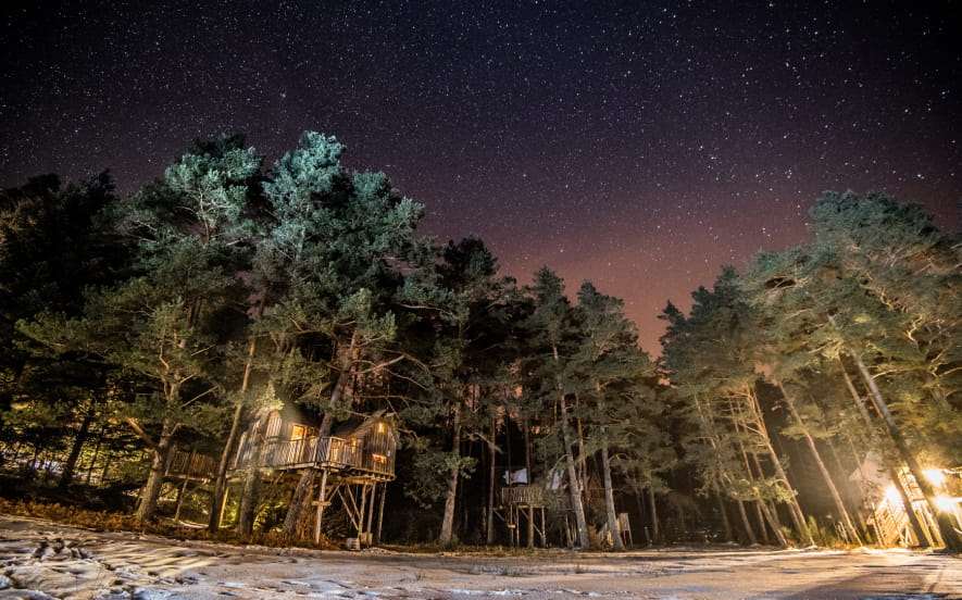 Cabanes dans les arbres Nids des Vosges