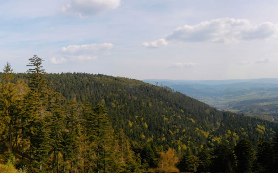 Massif de l'Ormont
