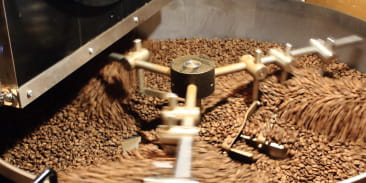 Visite chocolat et torréfaction Brûlerie Doillon