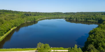 Réserve naturelle de la Tourbière de la Grande Pile