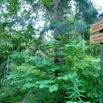 Cascade de la Serva