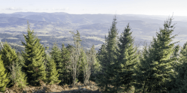 Roche du Sapin Sec