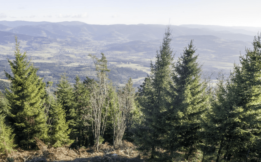 Roche du Sapin Sec