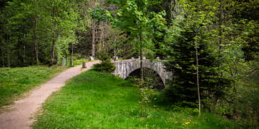 Balade accessible - Les perles de la Vologne