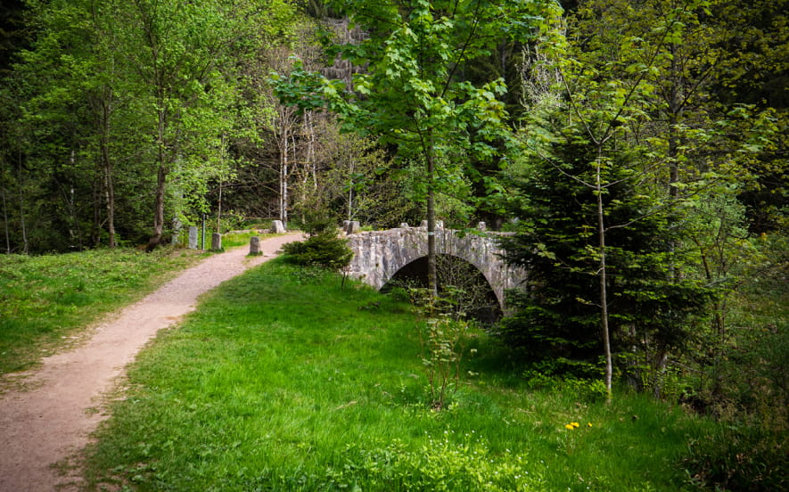 Balade accessible - Les perles de la Vologne