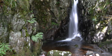 Saut de la Truite