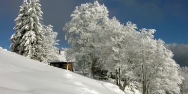 Station du Thanner Hubel