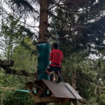 Parc aventure au Ballon d'Alsace