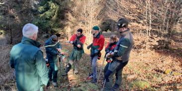 Découverte du martelage avec des forestiers