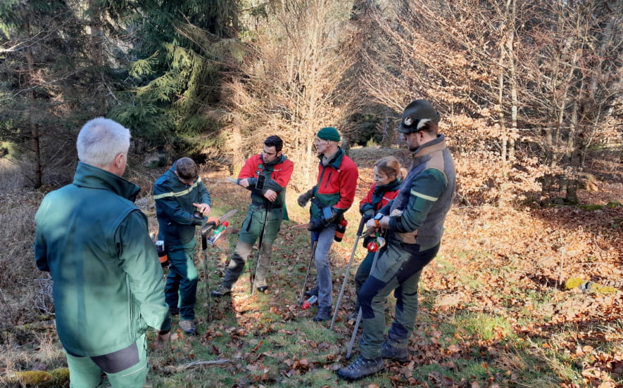 Découverte du martelage avec des forestiers