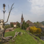Château de La Petite Pierre - Maison du Parc