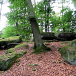 Camp Celtique