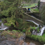 Pisciculture du breuchin