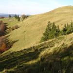 Le Drumont
