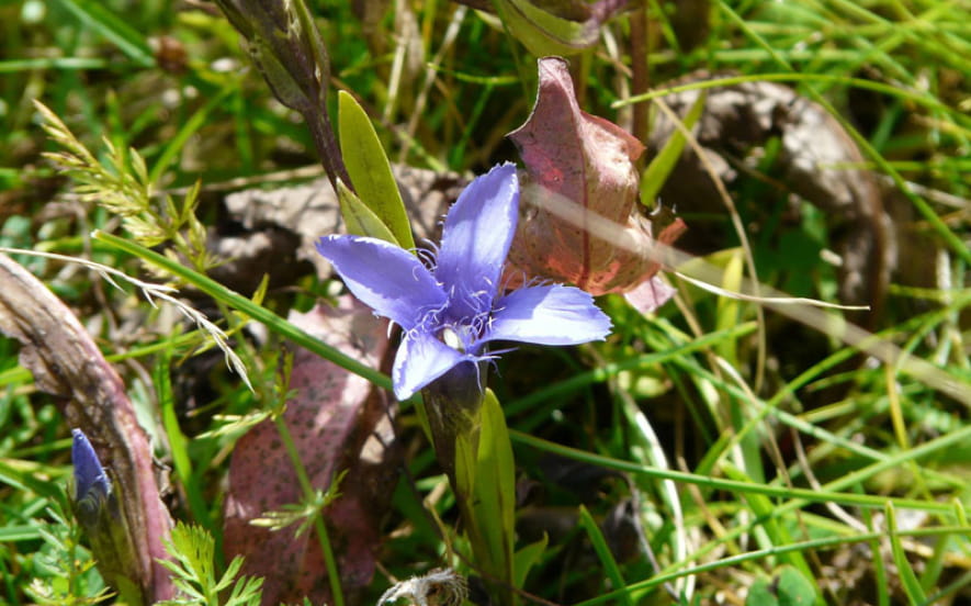 Site naturel Le Wurmberg