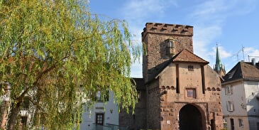 Balade ludique à Cernay
