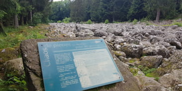 Champ de roches
