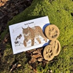 Séjour avec guide en Alsace Vosges du Nord : Randonnées en étoile, Immersion en Nature sauvage