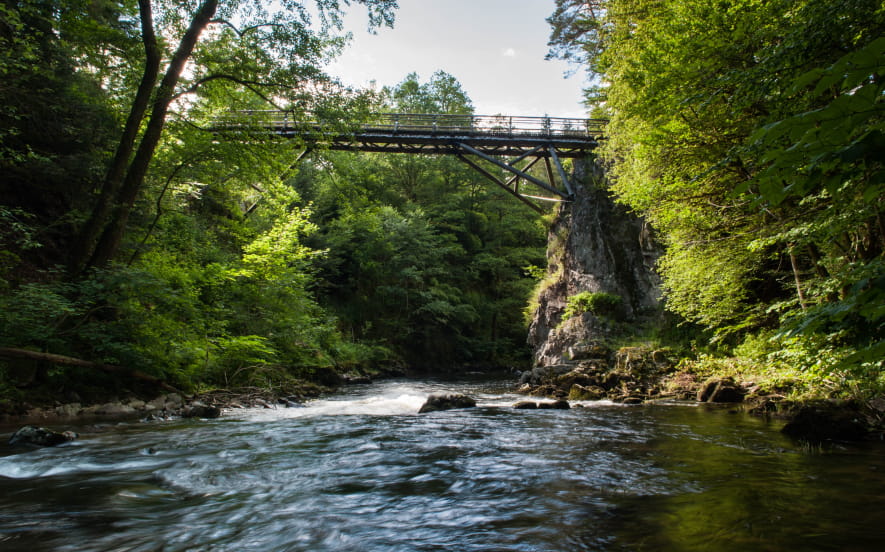 Les gorges de Crosery