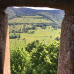 Sentier poussette - Un détour par le Bilstein