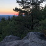 Point de vue de la tête des cuveaux